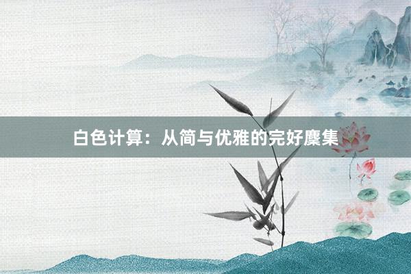 白色计算：从简与优雅的完好麇集
