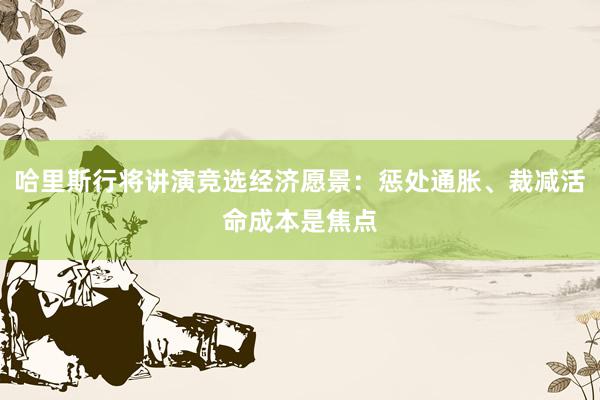 哈里斯行将讲演竞选经济愿景：惩处通胀、裁减活命成本是焦点